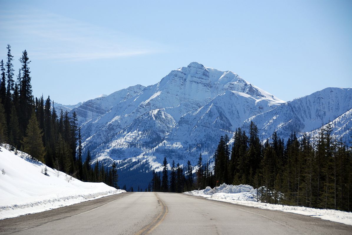 18 Waputik Mountain From Near Hector Lake On Icefields Parkway